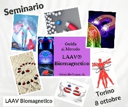 LAAV Biomagnetico 8/10/22: perché partecipare al seminario!