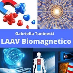 LAAV-biomagnetico