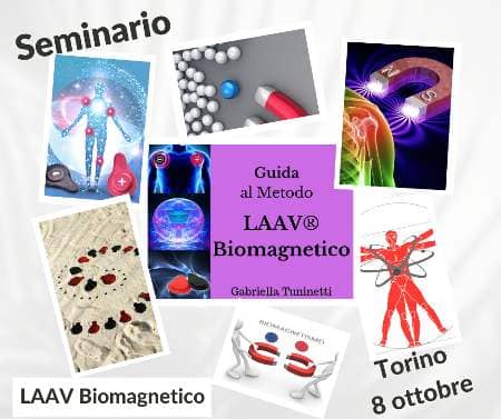 Seminario LAAV Biomagnetico 8 ottobre 450x410